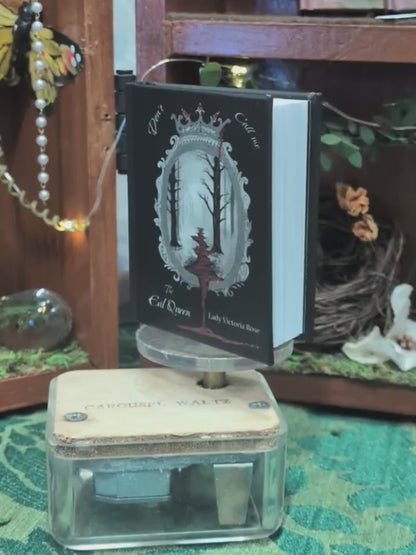 Don't Call me The Evil Queen (Mini Book)