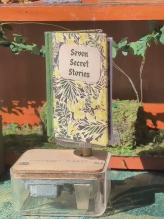 Seven Secret Stories (Mini Book)